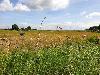 Agricultural Land for Sale in San Fernando, Pampanga